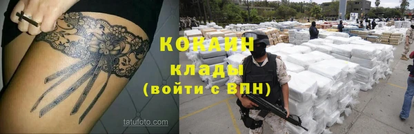 гидра Балахна