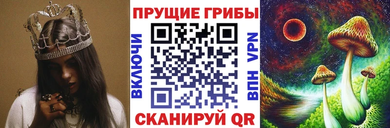 Галлюциногенные грибы прущие грибы  Вуктыл 
